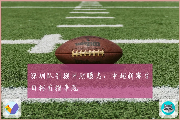 深圳队引援计划曝光，中超新赛季目标直指争冠