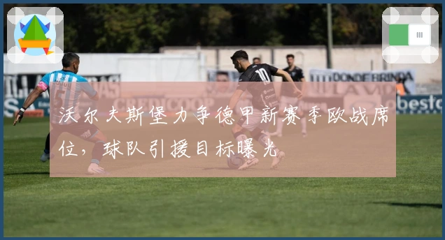 沃尔夫斯堡力争德甲新赛季欧战席位，球队引援目标曝光